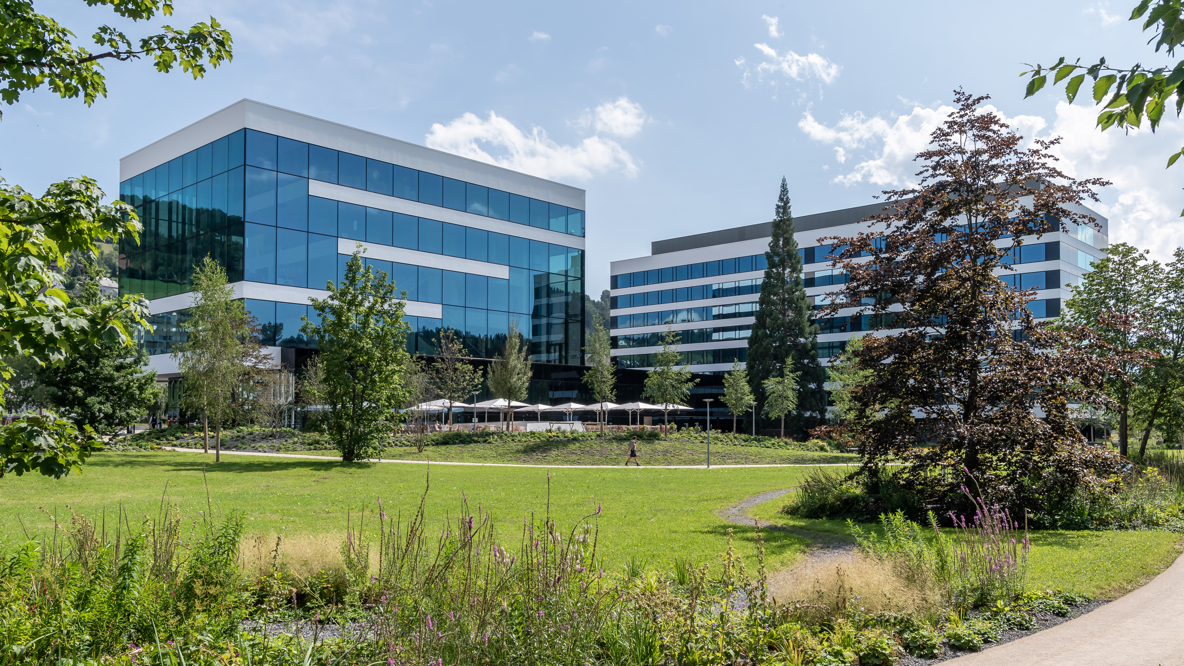Schindler Group office