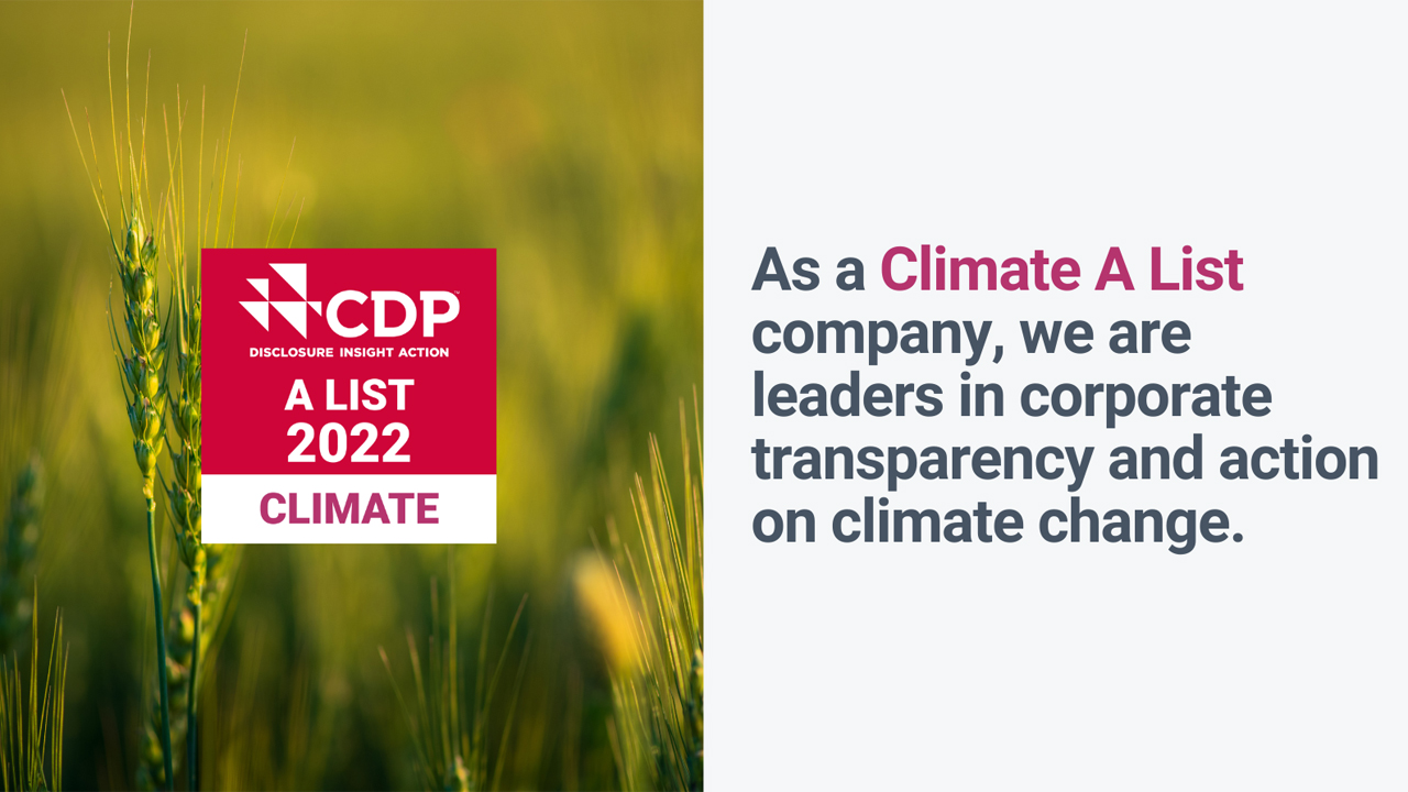 Schindler recognized with &lsquo;A&rsquo; score for transparency on climate change